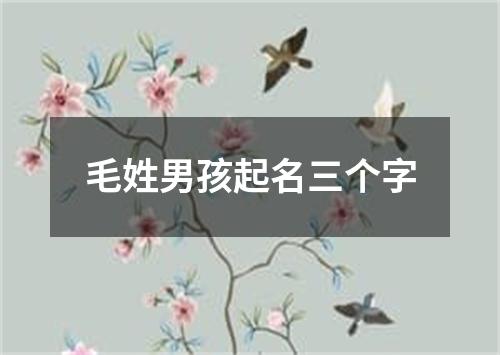 毛姓男孩起名三个字