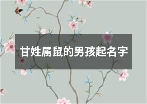 甘姓属鼠的男孩起名字