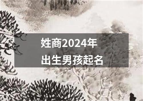 姓商2024年出生男孩起名