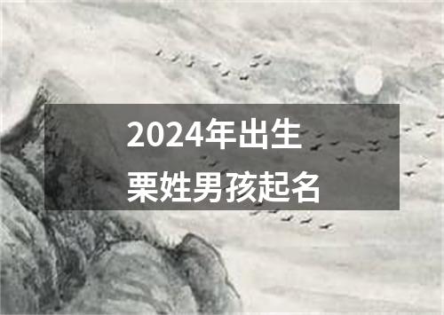 2024年出生栗姓男孩起名