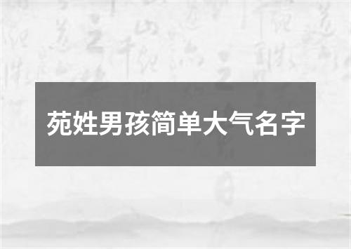 苑姓男孩简单大气名字