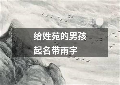 给姓苑的男孩起名带雨字