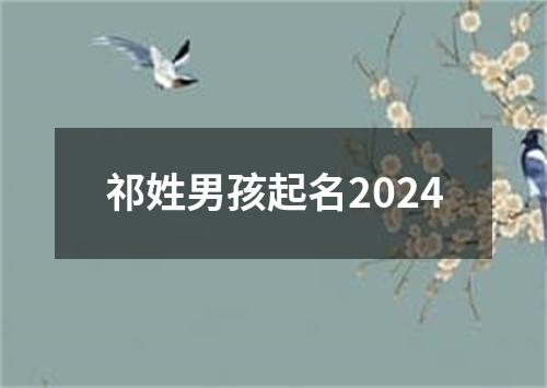 祁姓男孩起名2024