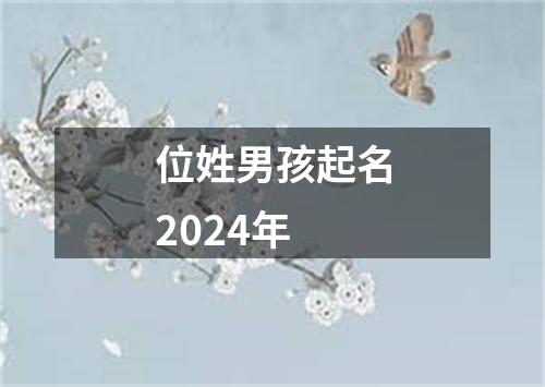 位姓男孩起名2024年