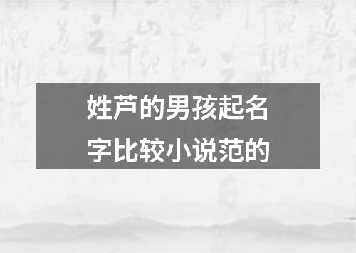 姓芦的男孩起名字比较小说范的