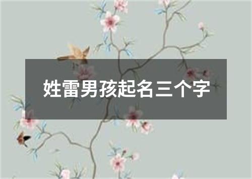 姓雷男孩起名三个字