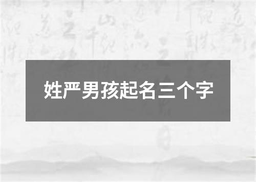 姓严男孩起名三个字