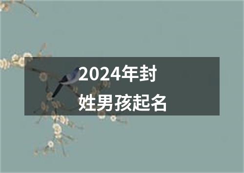 2024年封姓男孩起名