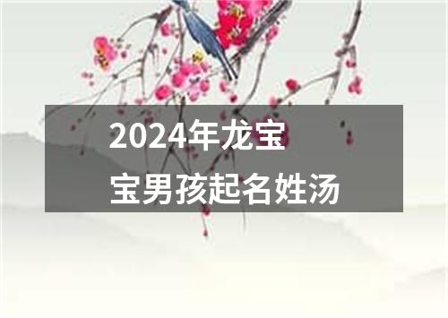 2024年龙宝宝男孩起名姓汤