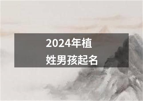 2024年植姓男孩起名