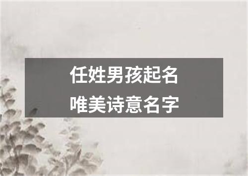 任姓男孩起名唯美诗意名字