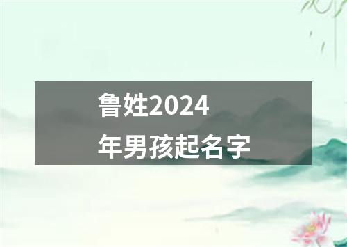 鲁姓2024年男孩起名字