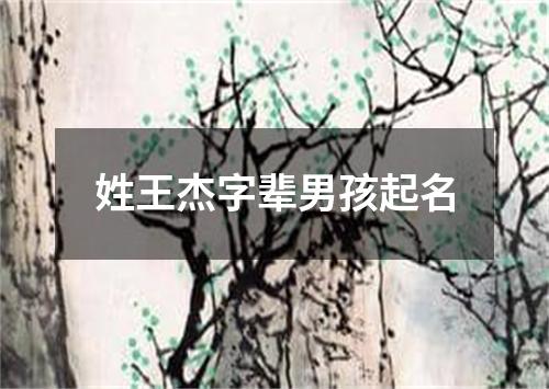 姓王杰字辈男孩起名