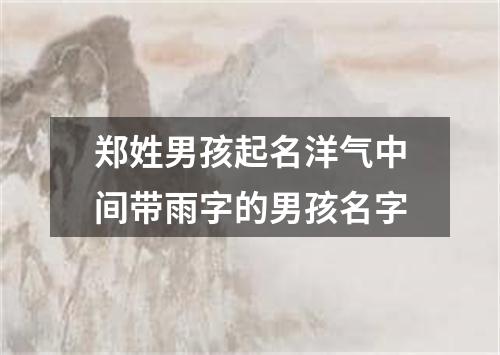 郑姓男孩起名洋气中间带雨字的男孩名字