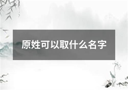 原姓可以取什么名字