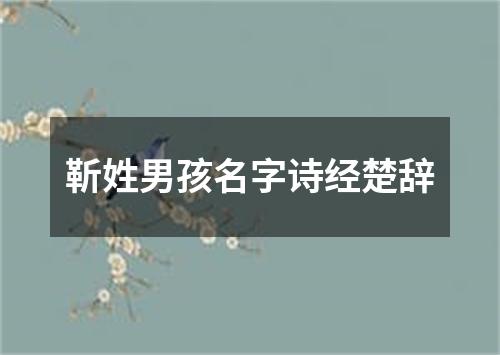 靳姓男孩名字诗经楚辞