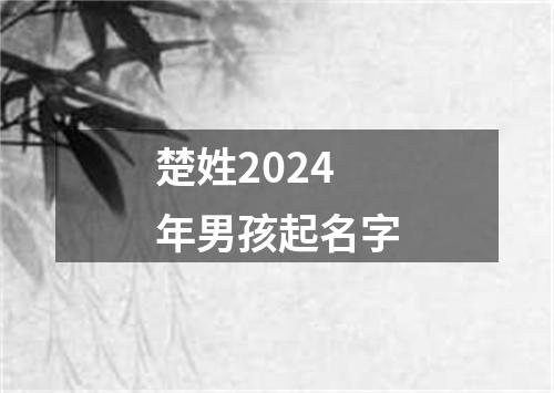 楚姓2024年男孩起名字