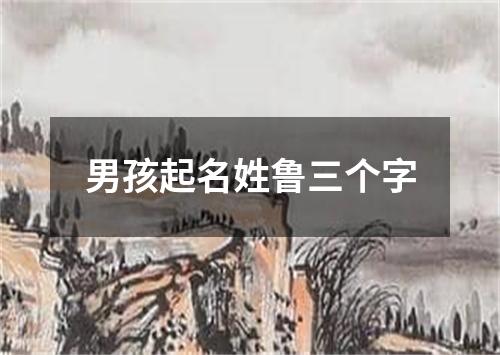 男孩起名姓鲁三个字