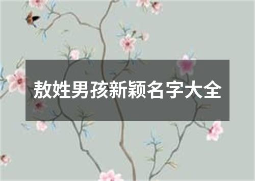 敖姓男孩新颖名字大全