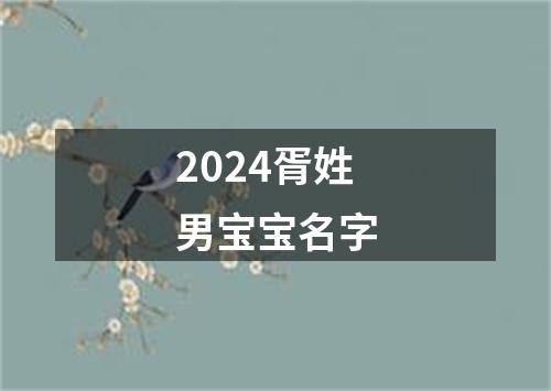 2024胥姓男宝宝名字