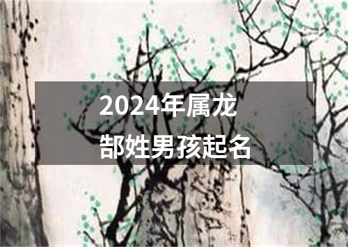 2024年属龙郜姓男孩起名