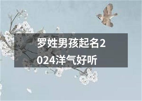 罗姓男孩起名2024洋气好听