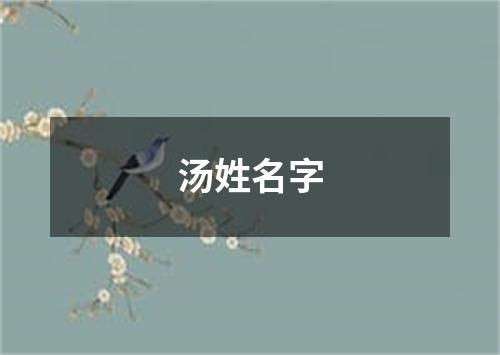 汤姓名字