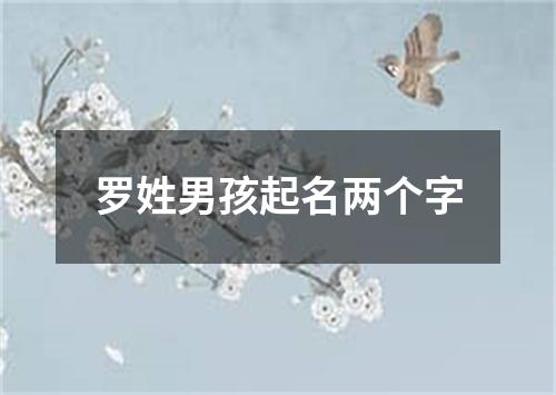 罗姓男孩起名两个字