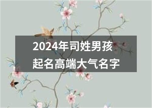 2024年司姓男孩起名高端大气名字