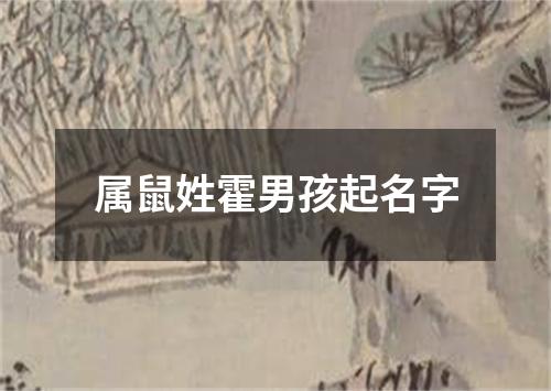 属鼠姓霍男孩起名字