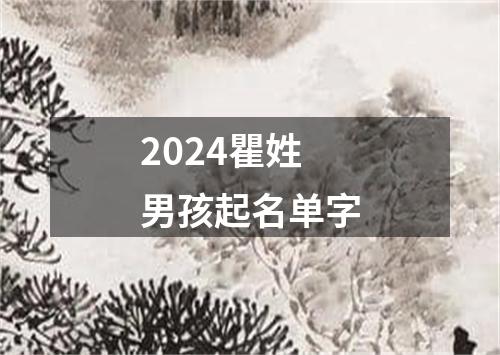 2024瞿姓男孩起名单字