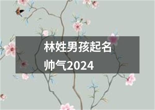 林姓男孩起名帅气2024