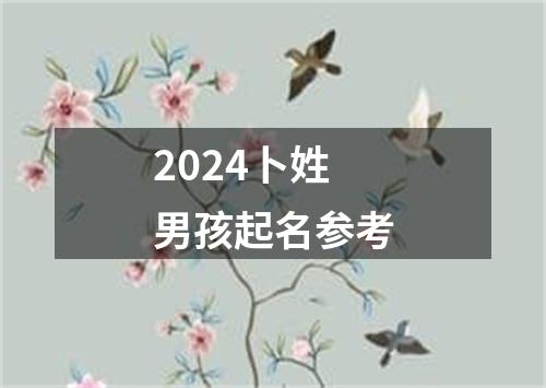 2024卜姓男孩起名参考