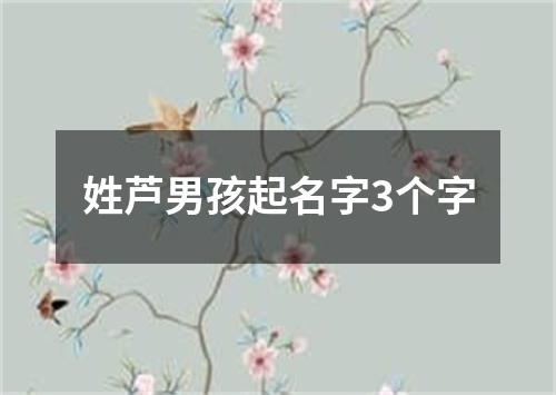 姓芦男孩起名字3个字