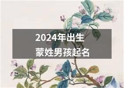 2024年出生蒙姓男孩起名