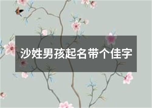 沙姓男孩起名带个佳字