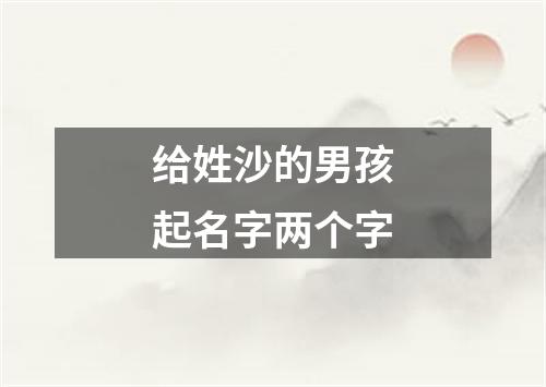 给姓沙的男孩起名字两个字