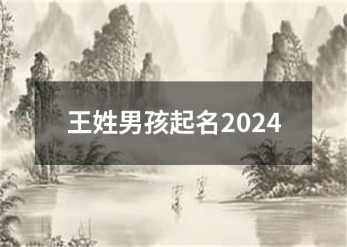 王姓男孩起名2024