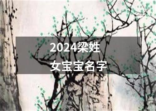 2024梁姓女宝宝名字