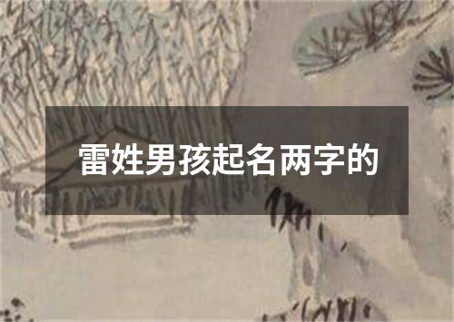 雷姓男孩起名两字的