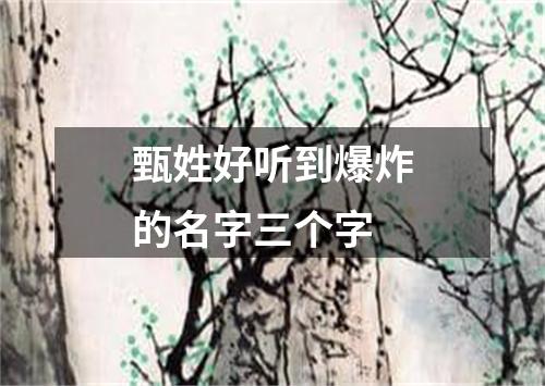 甄姓好听到爆炸的名字三个字