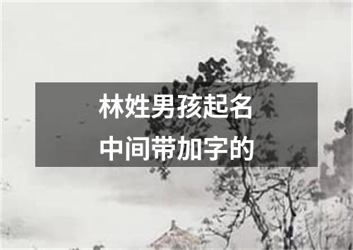 林姓男孩起名中间带加字的