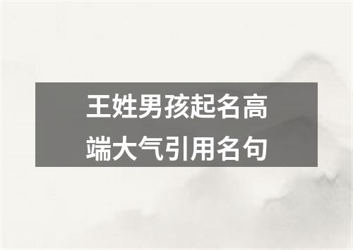 王姓男孩起名高端大气引用名句