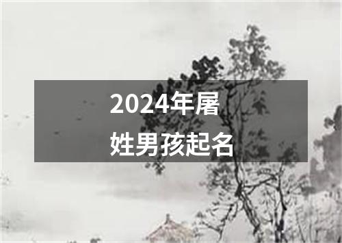 2024年屠姓男孩起名