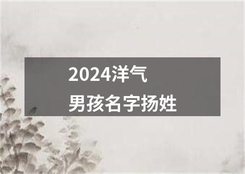 2024洋气男孩名字扬姓