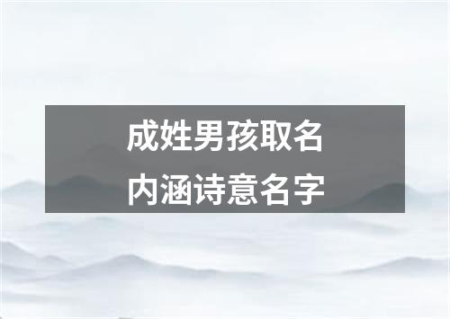 成姓男孩取名内涵诗意名字