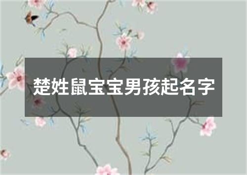 楚姓鼠宝宝男孩起名字