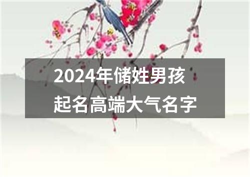 2024年储姓男孩起名高端大气名字