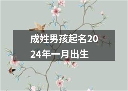 成姓男孩起名2024年一月出生