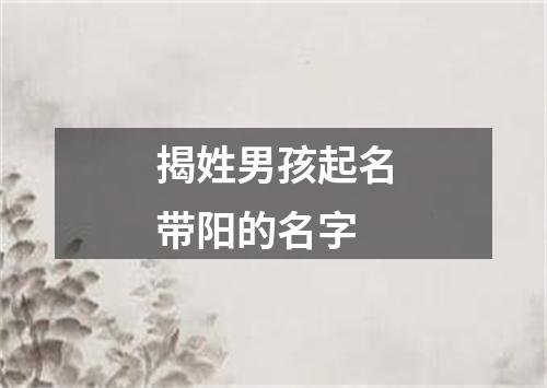 揭姓男孩起名带阳的名字